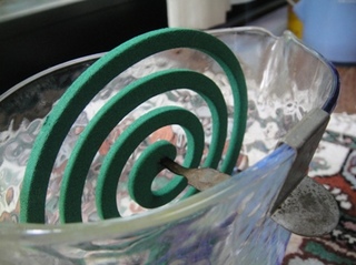 20110813_1.JPG