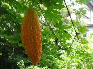 20110813_2.JPG