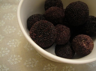 20120521_01.JPG