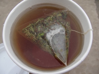 20120704_mudan01.JPG