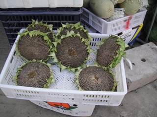 20120706_14.JPG