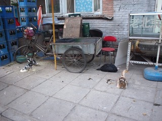 201210_jxq1_09.JPG