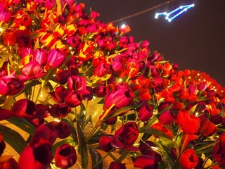20121215_07.JPG