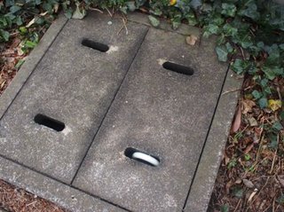 20130415_3.JPG