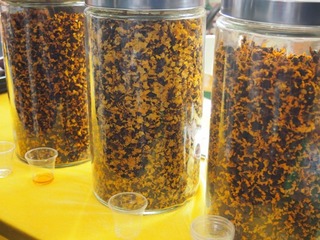 201304_chabohui14.JPG