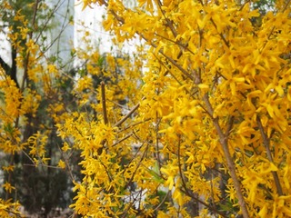 201304_chabohui27.JPG