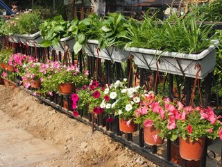 201304_chabohui31.JPG
