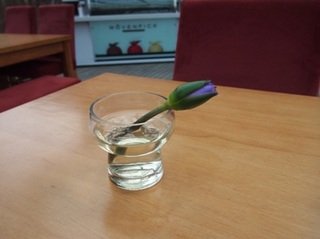 20130505_yhg040.JPG