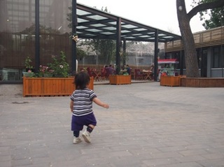 20130505_yhg041.JPG