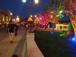 201305_kingyo008.JPG