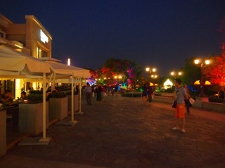 201305_kingyo009.JPG