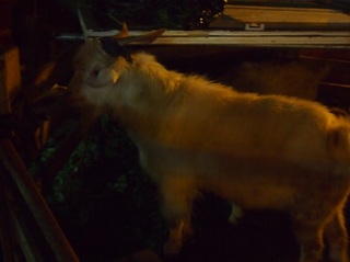 201306_pao024.JPG