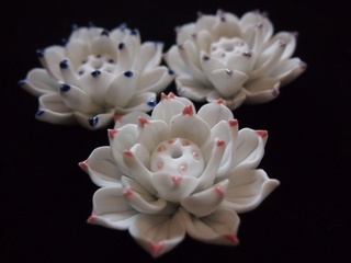201309_koutate_hana01.JPG