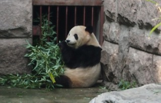 201309_zoo06.JPG