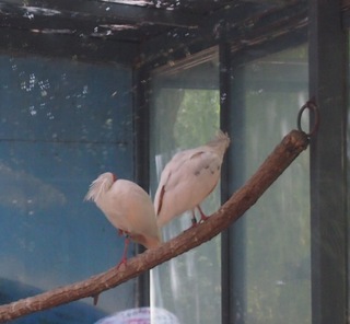 201309_zoo07.JPG