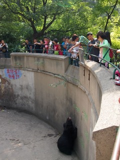 201309_zoo10.JPG