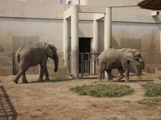 201309_zoo13.JPG