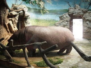 201309_zoo14.JPG