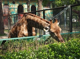 201309_zoo18.JPG