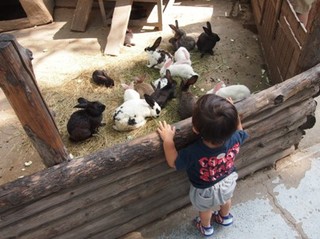 201309_zoo19.JPG