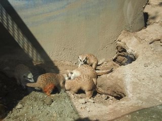201309_zoo20.JPG