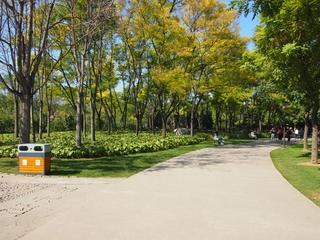 20131020_side02.JPG