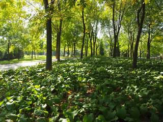 20131020_side15.JPG