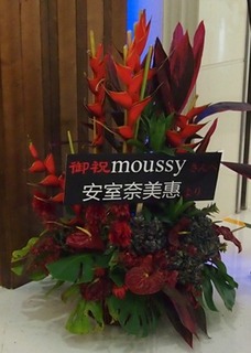 201310_AON10.JPG