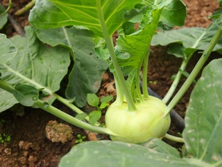201310_junta06.JPG