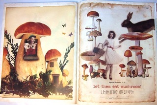 2013_issue29_4.JPG