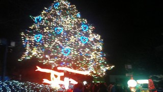 201501_photo1.JPG