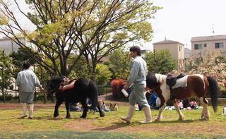201504_arakawa004.JPG