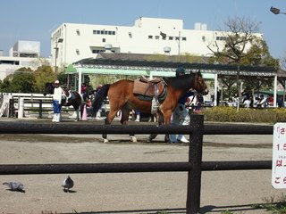 201504_edogawa03.JPG