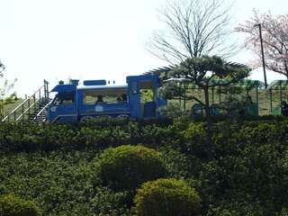 201504_edogawa05.JPG