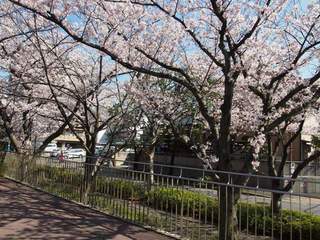 201504_edogawa06.JPG