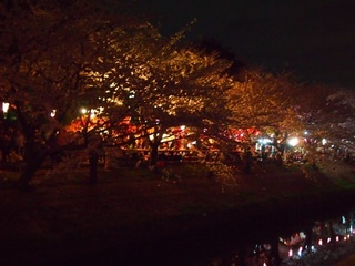 201504_edogawa11.JPG