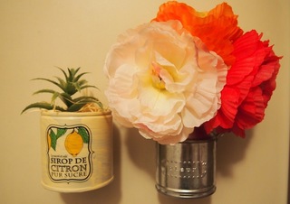 201505_daiso007.JPG