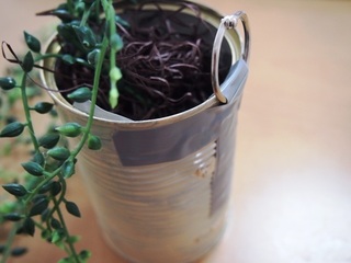201505_green01.JPG