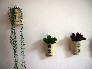 201505_green02.JPG