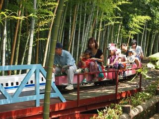201507_ichikawa3.JPG