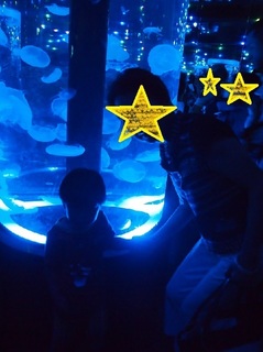 20150820_aqua02.jpg