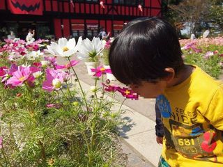 201510_apark03.JPG