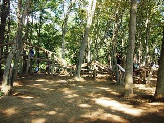 201510_apark16.JPG