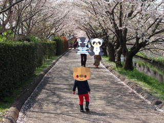 sakura01.png
